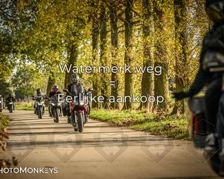 Herfstrit Moerzeke photo