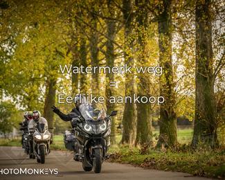 Herfstrit Moerzeke photo