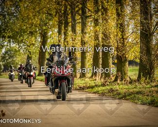 Herfstrit Moerzeke photo