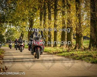 Herfstrit Moerzeke photo