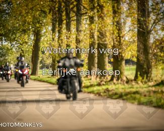 Herfstrit Moerzeke photo