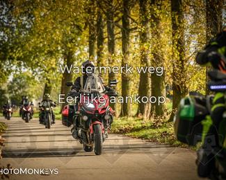 Herfstrit Moerzeke photo