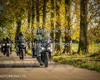 Herfstrit Moerzeke photo