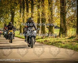 Herfstrit Moerzeke photo