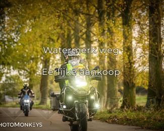 Herfstrit Moerzeke photo