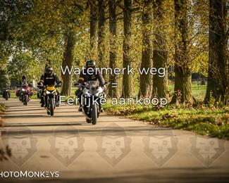 Herfstrit Moerzeke photo