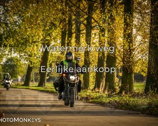 Herfstrit Moerzeke photo