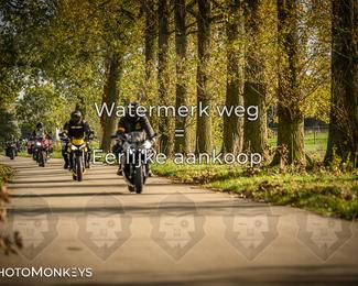 Herfstrit Moerzeke photo