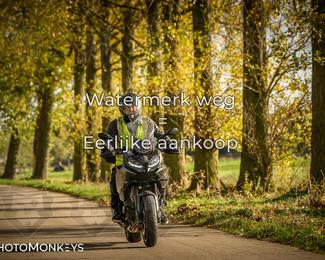 Herfstrit Moerzeke photo