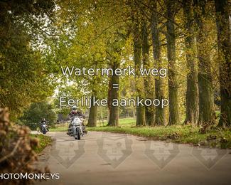 Herfstrit Moerzeke photo