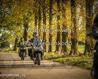 Herfstrit Moerzeke photo