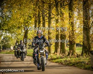 Herfstrit Moerzeke photo