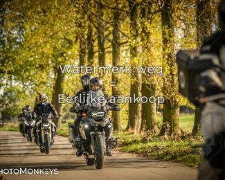 Herfstrit Moerzeke photo