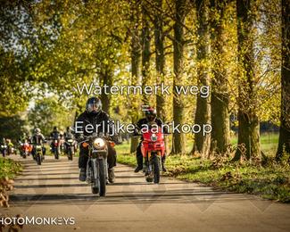 Herfstrit Moerzeke photo