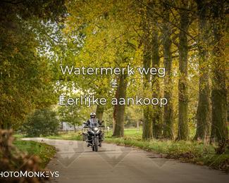 Herfstrit Moerzeke photo