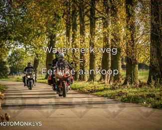 Herfstrit Moerzeke photo