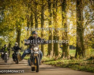 Herfstrit Moerzeke photo