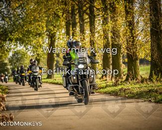 Herfstrit Moerzeke photo