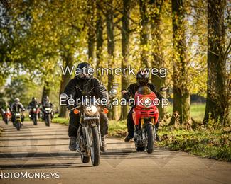 Herfstrit Moerzeke photo