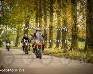 Herfstrit Moerzeke photo