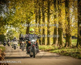 Herfstrit Moerzeke photo