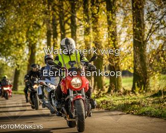 Herfstrit Moerzeke photo