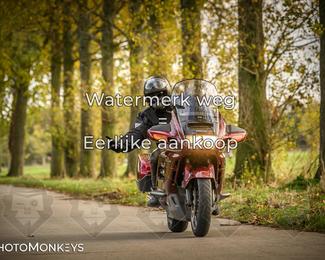 Herfstrit Moerzeke photo