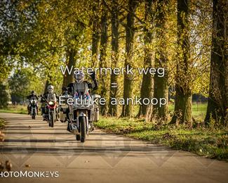 Herfstrit Moerzeke photo