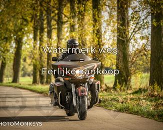 Herfstrit Moerzeke photo