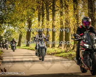 Herfstrit Moerzeke photo