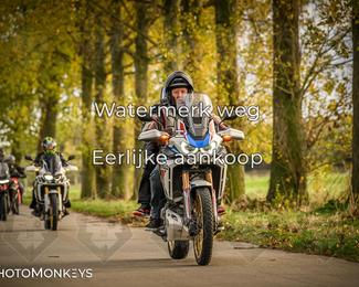 Herfstrit Moerzeke photo