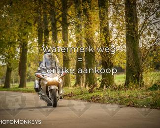 Herfstrit Moerzeke photo