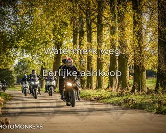 Herfstrit Moerzeke photo