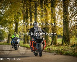 Herfstrit Moerzeke photo