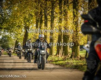 Herfstrit Moerzeke photo