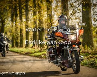 Herfstrit Moerzeke photo