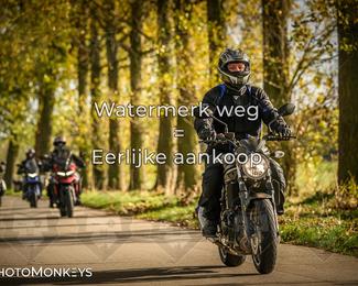 Herfstrit Moerzeke photo