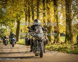 Herfstrit Moerzeke photo