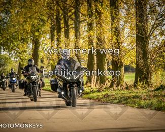 Herfstrit Moerzeke photo