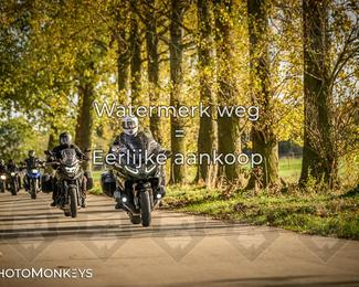 Herfstrit Moerzeke photo