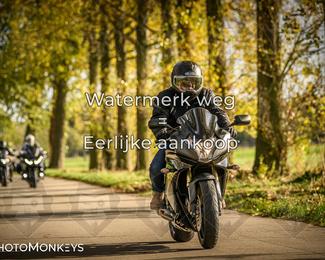 Herfstrit Moerzeke photo