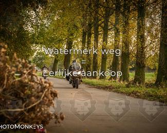 Herfstrit Moerzeke photo