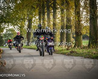 Balade d’automne Moerzeke photo