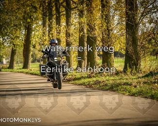 Herfstrit Moerzeke photo