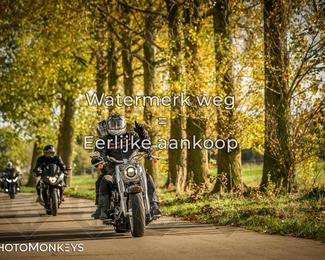 Herfstrit Moerzeke photo