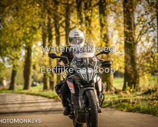 Herfstrit Moerzeke photo