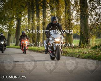 Balade d’automne Moerzeke photo