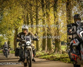 Herfstrit Moerzeke photo