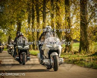 Herfstrit Moerzeke photo