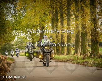 Herfstrit Moerzeke photo